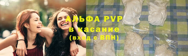 крисы Новозыбков