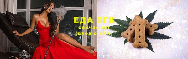 крисы Новозыбков