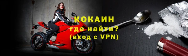 сатива Новодвинск