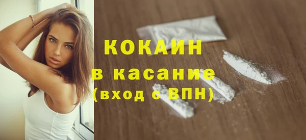 сатива Новодвинск