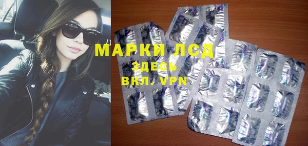 сатива Новодвинск