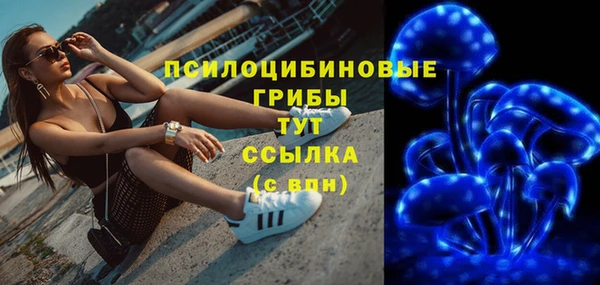 крисы Новозыбков