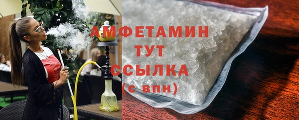 сатива Новодвинск