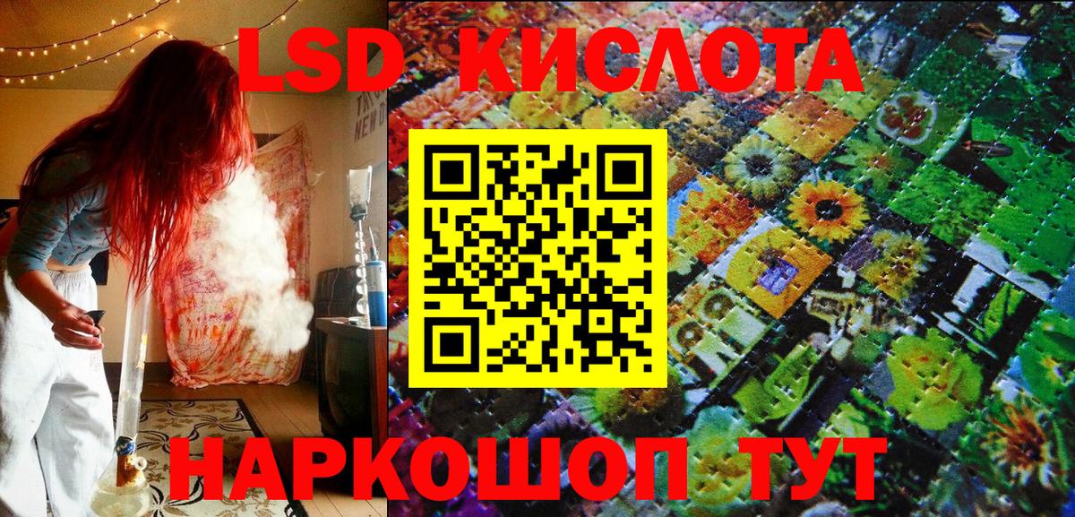 МЕФ Россошь