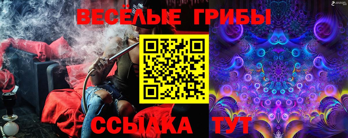 Псилоцибиновые грибы Magic Shrooms  Галлюциногенные грибы мухоморы  Россошь  Вход с VPN 