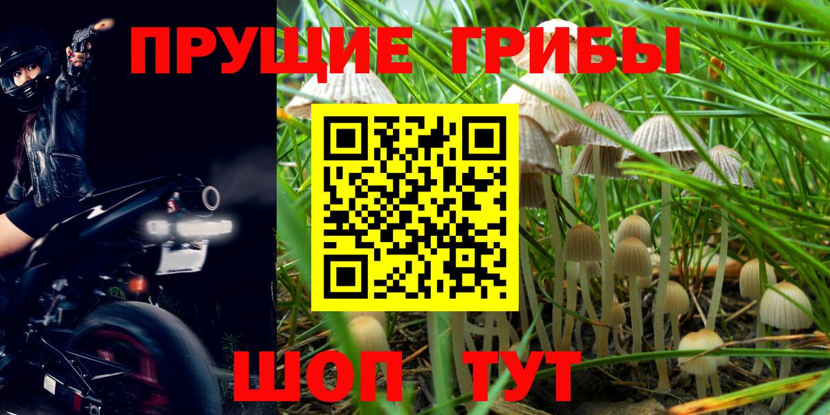 Псилоцибиновые грибы мухоморы  где найти   Россошь 