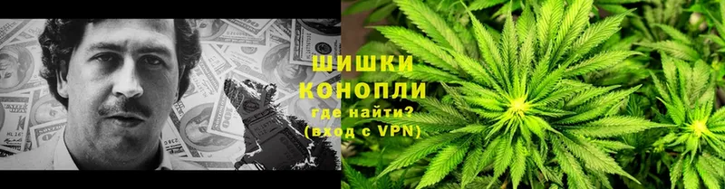 мориарти клад  Россошь  Марихуана THC 21%  купить наркоту  blacksprut маркетплейс 